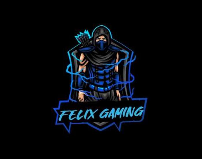 Felix Gaming 1